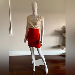 Mendocino Mini Dress in Fascia and Off-White